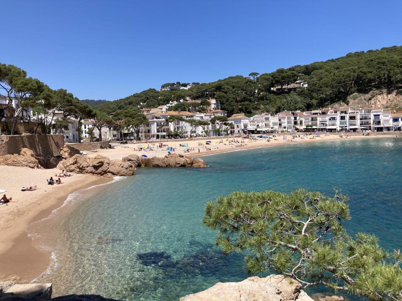 Tamariu Roca Rubia 1- Very Cozy, Terrace And Balcony With Stunning Views Eksteriør billede